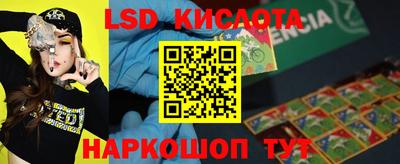 a pvp Кингисепп