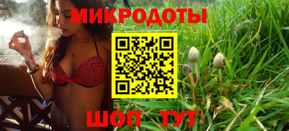 Коркино  Псилоцибиновые грибы Psilocybe  Вход с VPN 